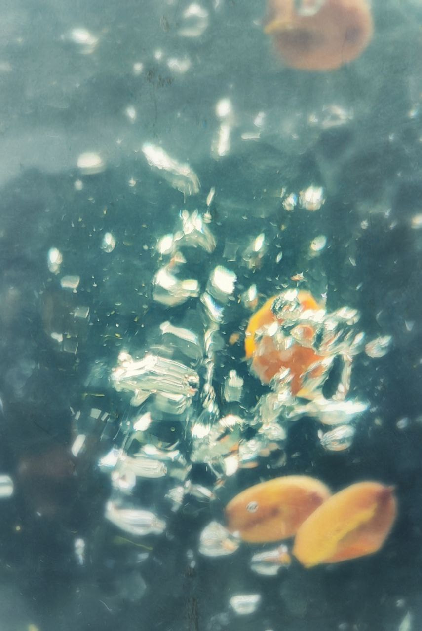 Фотоконкурс «Вода». ARTEXPOPHOTO