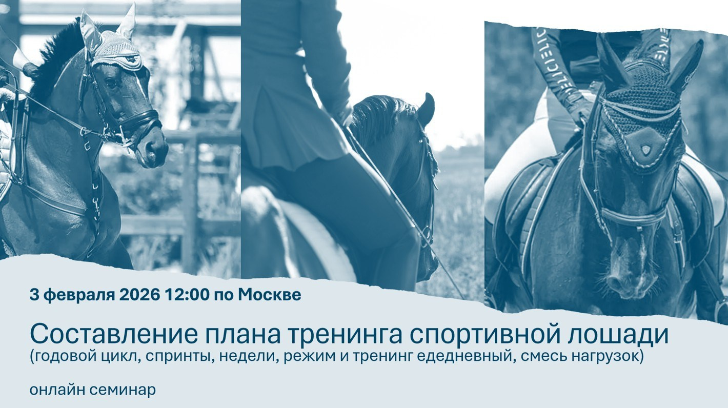 Календарь соревнований и семинаров. Лиана Антонович | Конные стратегии