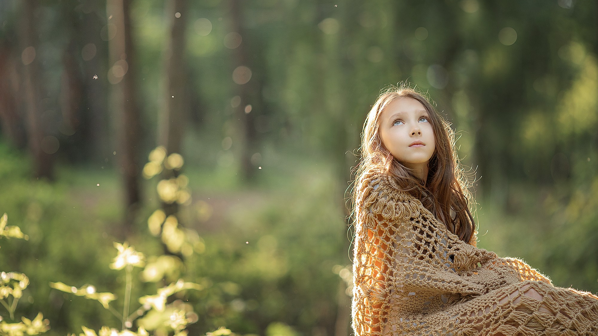 Комплект из 5 видеоуроков по художественной обработке. Фотограф Александр Солнечный