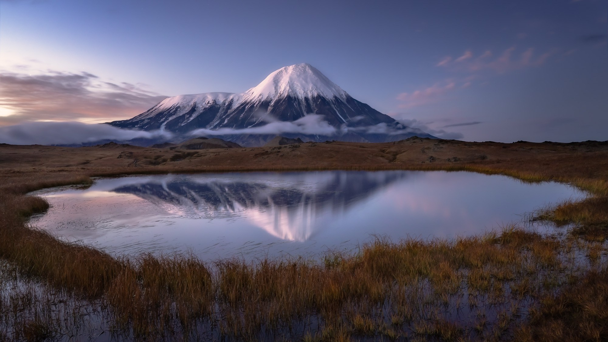 Portfolio Award 2025