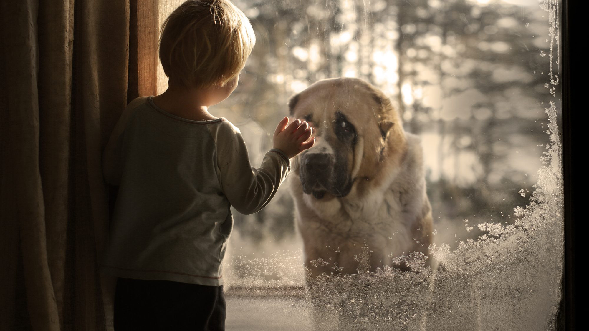 Контакты. Елена Шумилова