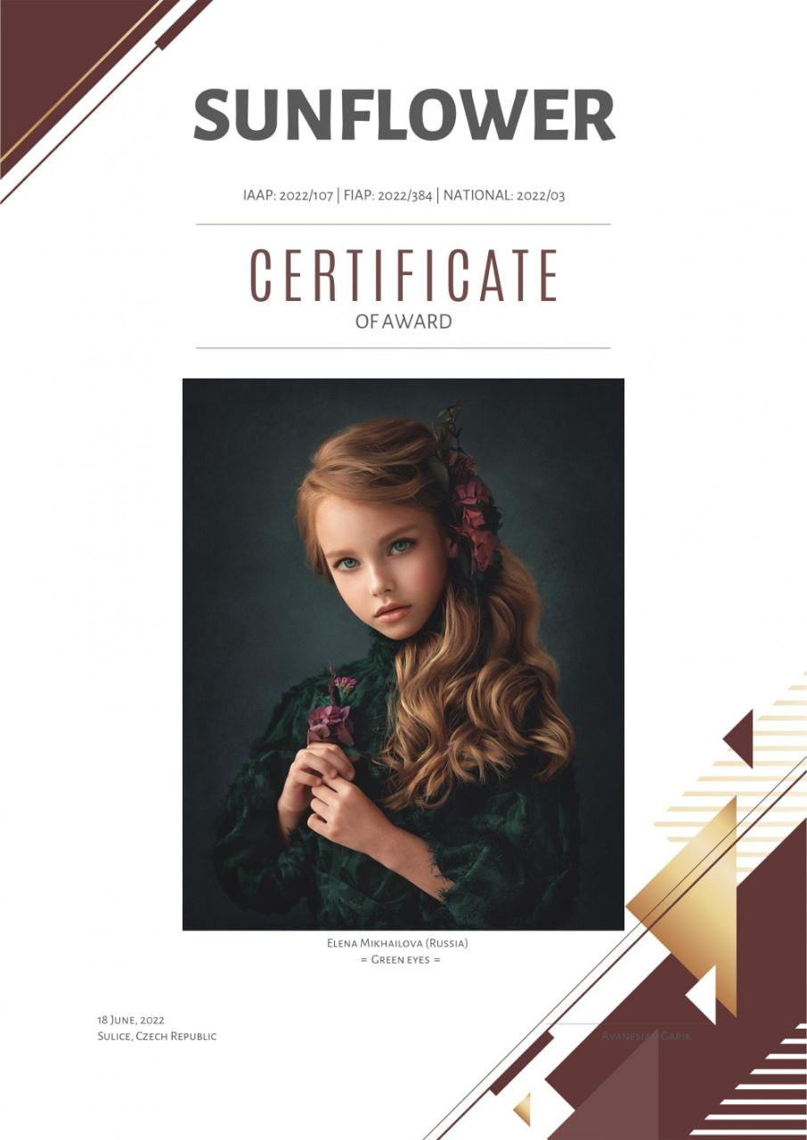 МОИ ДОСТИЖЕНИЯ. Детский и семейный фотограф Елена Михайлова в Москве