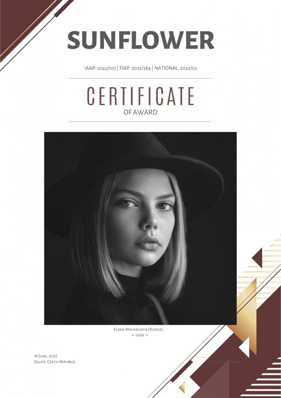 МОИ ДОСТИЖЕНИЯ. Детский и семейный фотограф Елена Михайлова в Москве