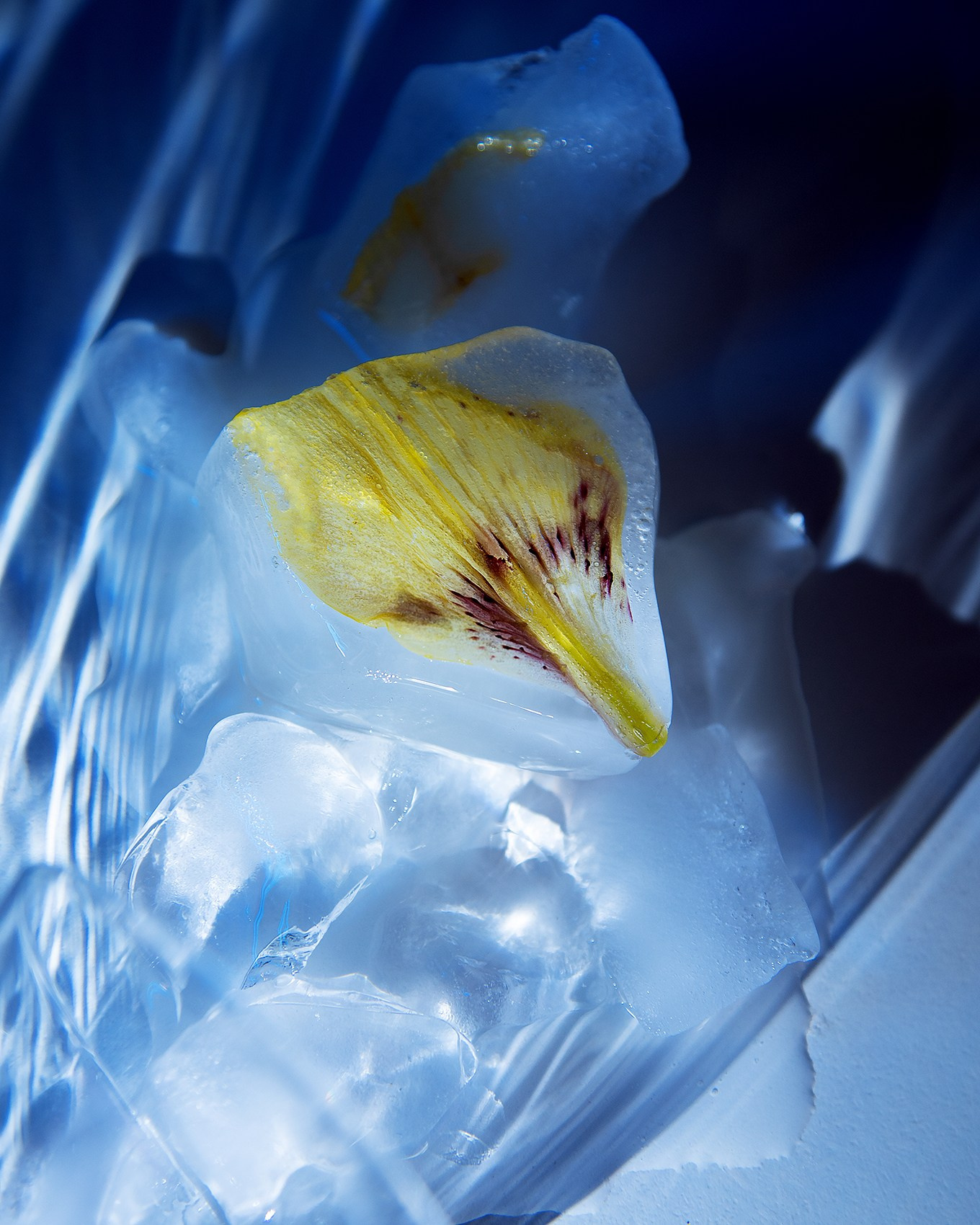 Услуги. Фотограф Авдошина Елизавета