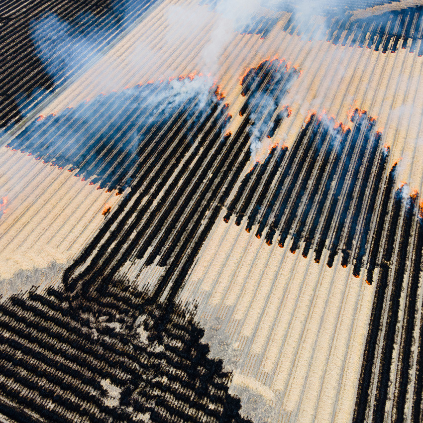 Лауреаты премии Всемирной организации фотографии за 2023 год. Фотограф — видеограф в Москве Дмитрий Менделеев