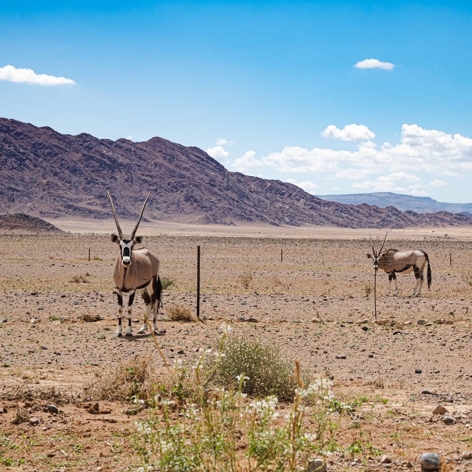 Выставки. Фотограф Дарья Сафонова Dashulkacss