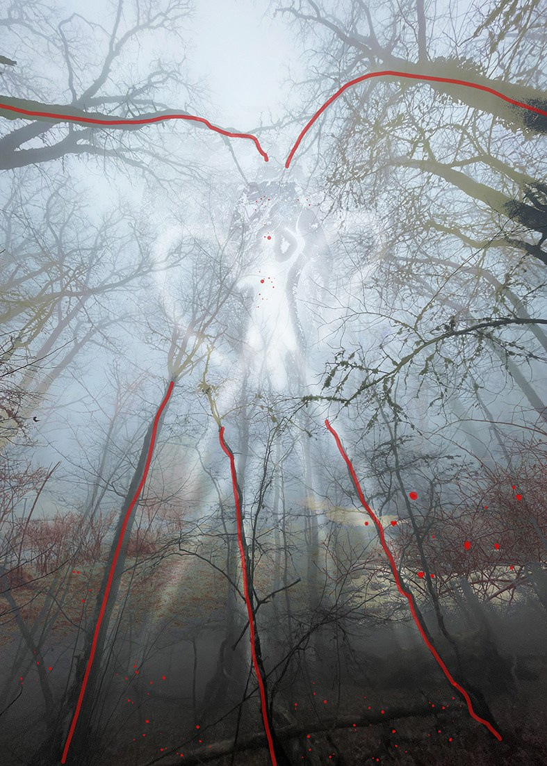 Power lines. Visual artist, photographer Liana Darenskaya, Moscow