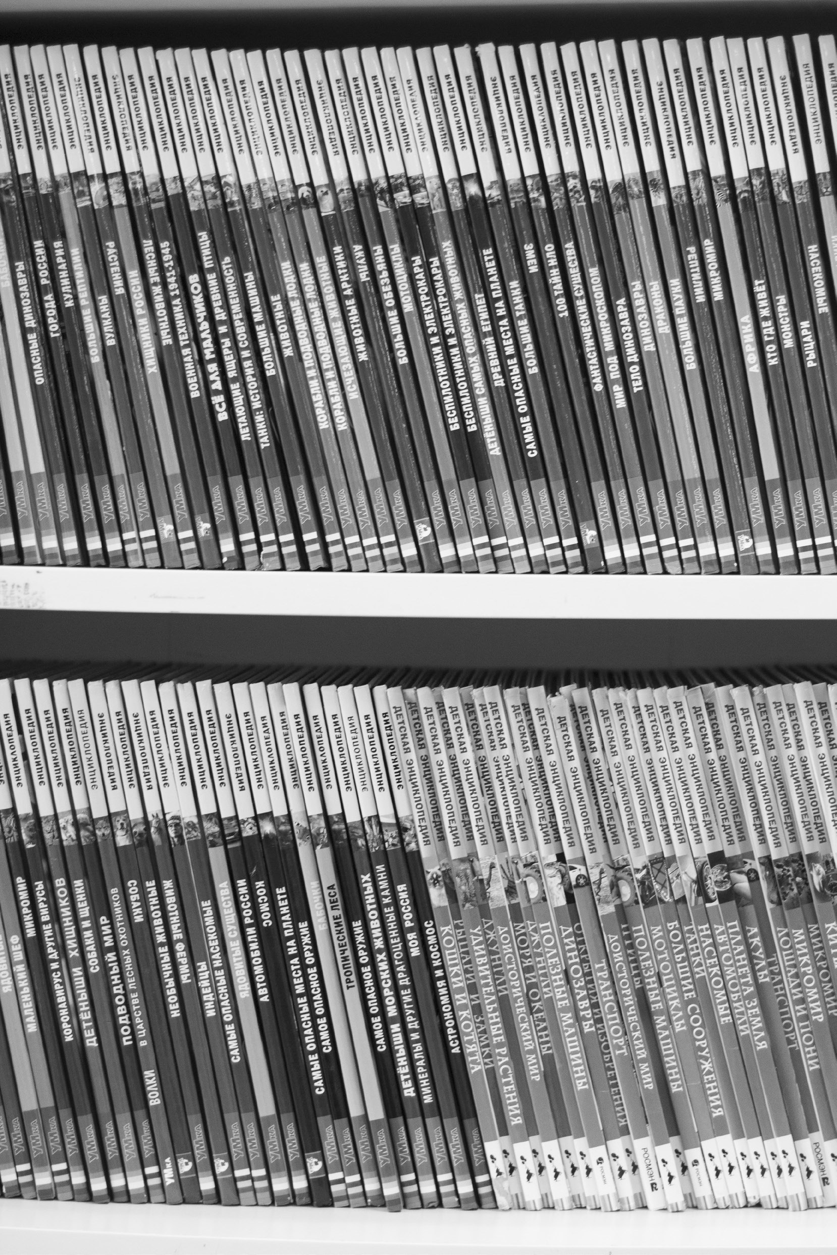 Екатерина Федорова «Кто сказал, что будет легко». Самоорганизация Низина