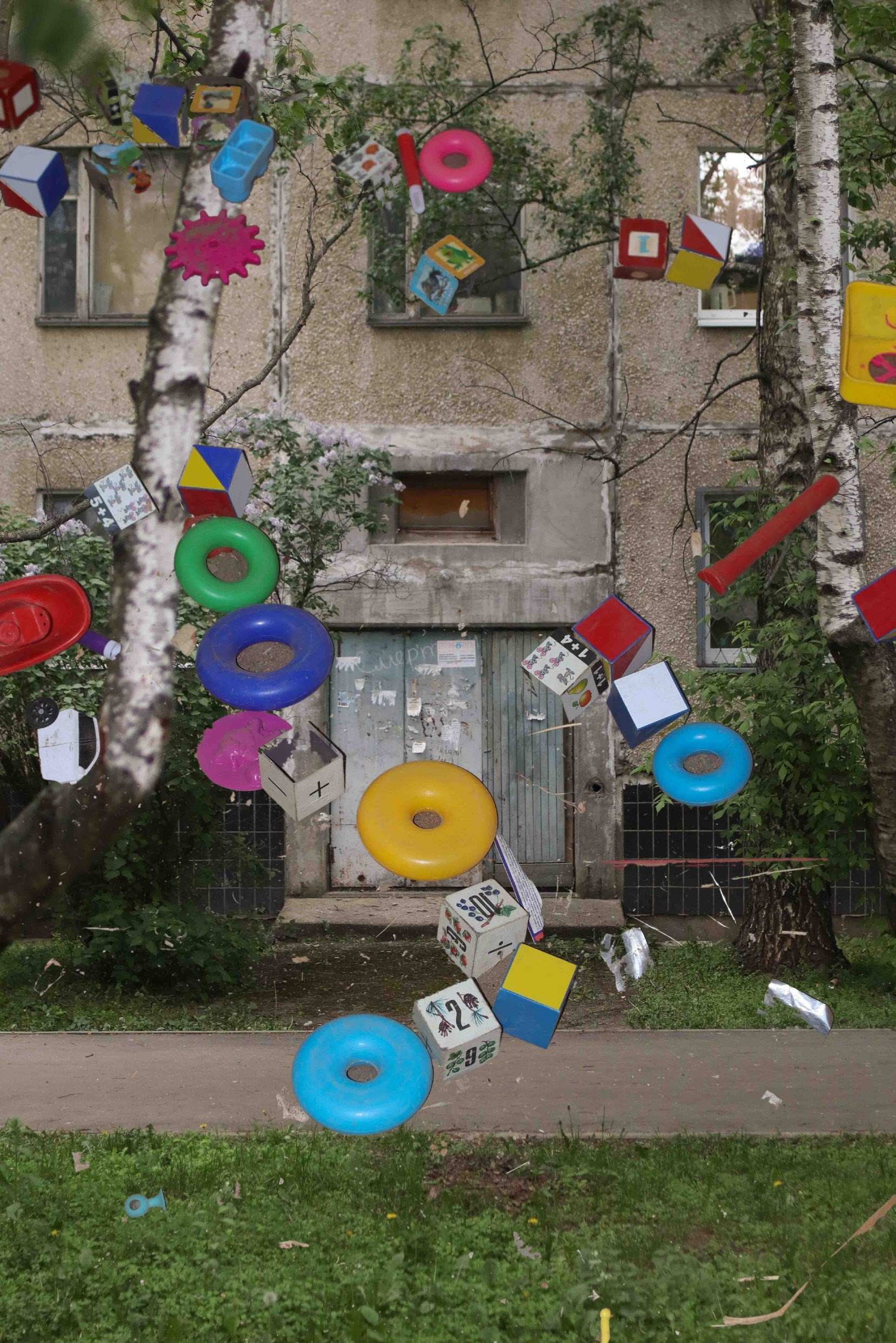 Лаборатория проектной фотографии. Самоорганизация Низина