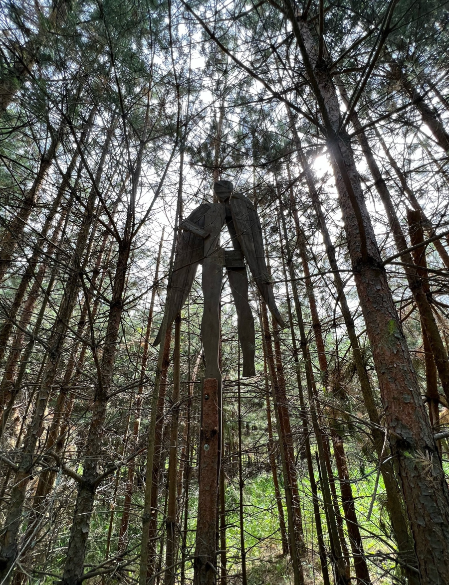 Ленд-арт в Чувашии. «Наконец-то я тебя встретил». Sculptor Aleksei Dmitriev
