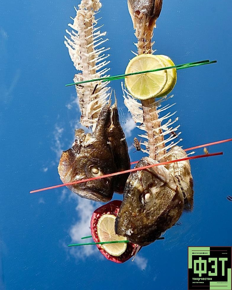 ФЭТ: Фотография Эстетика Творчество. 26.10.2025. Наталья Жукова. Курсы фотографии