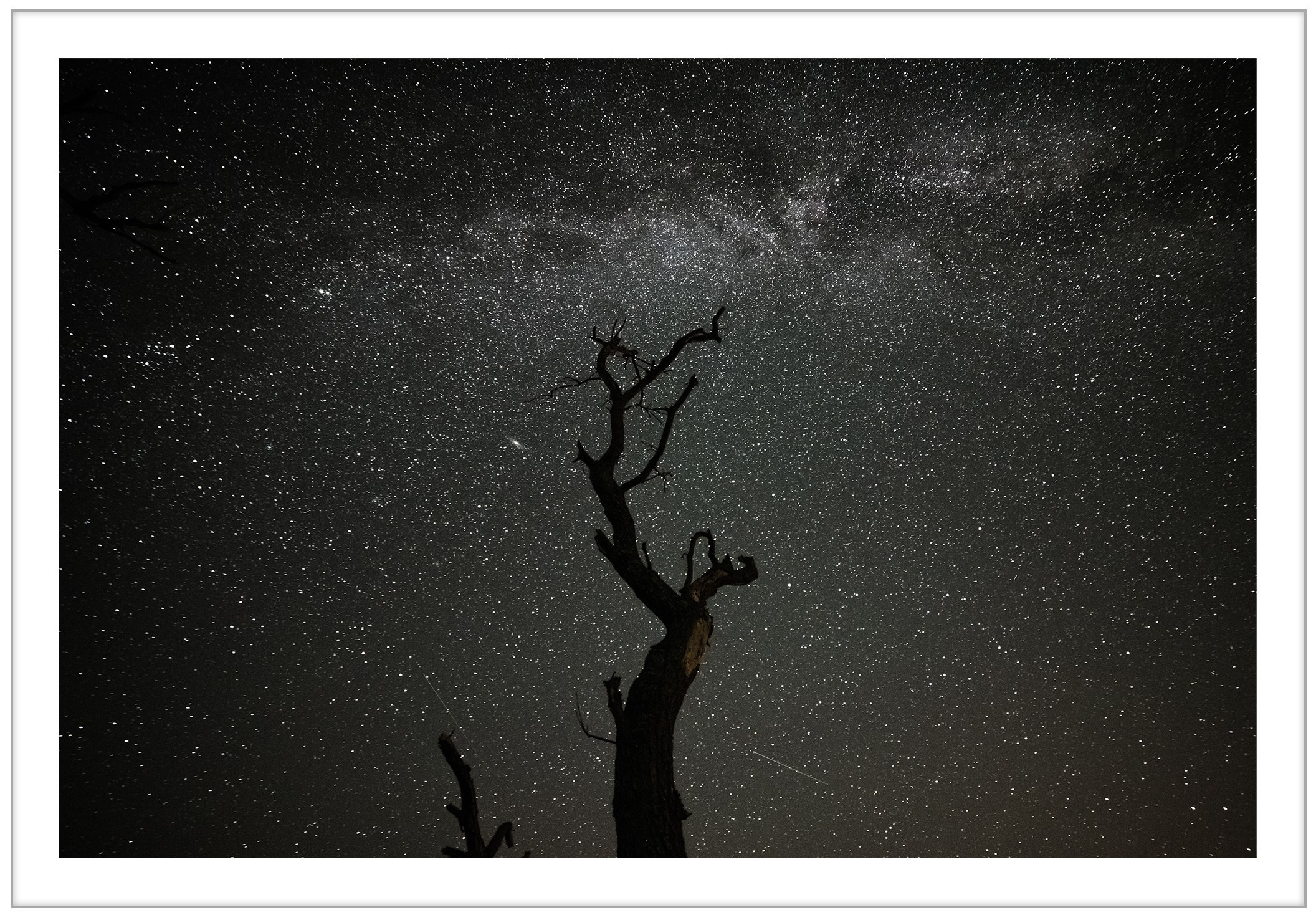 Купить. Наталия Шульгина — визуальный художник, фотограф