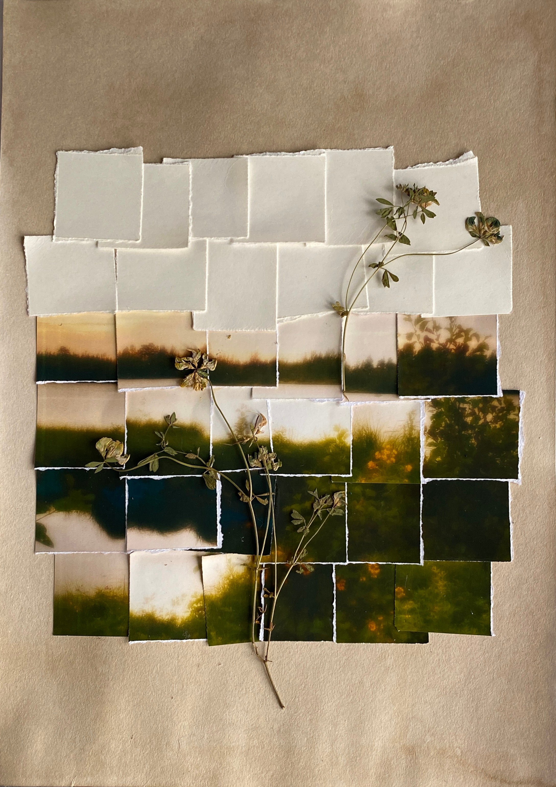 Присутствие. Visual artist