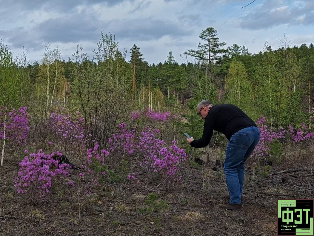 Альбом 17.05.26 в рамках ФЭТ