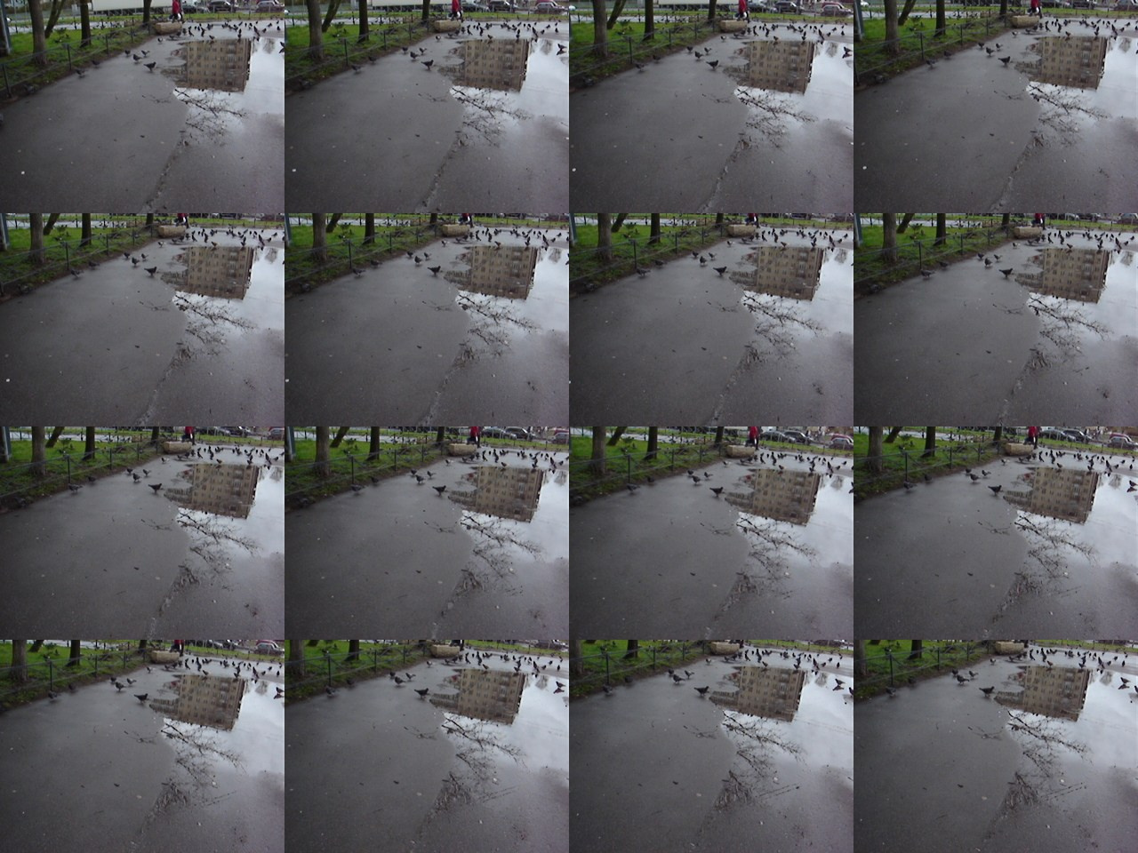 Дрейф № 29 042 025. Роман Ходырев — эзотериолог, художник, фотограф и музыкант. Санкт-Петербург, Рига