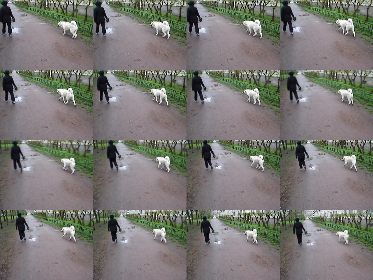 Дрейф № 29 042 025. Роман Ходырев — эзотериолог, художник, фотограф и музыкант. Санкт-Петербург, Рига