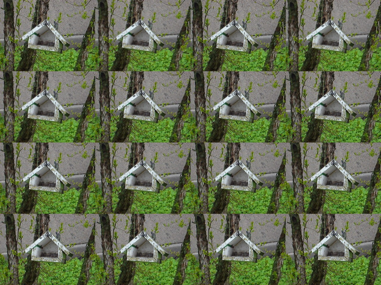 Дрейф № 29 042 025. Роман Ходырев — эзотериолог, художник, фотограф и музыкант. Санкт-Петербург, Рига