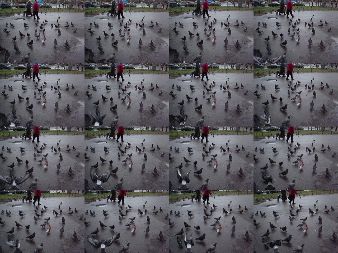 Дрейф № 29 042 025. Роман Ходырев — эзотериолог, художник, фотограф и музыкант. Санкт-Петербург, Рига