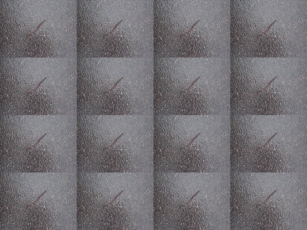 Дрейф № 29 042 025. Роман Ходырев — эзотериолог, художник, фотограф и музыкант. Санкт-Петербург, Рига