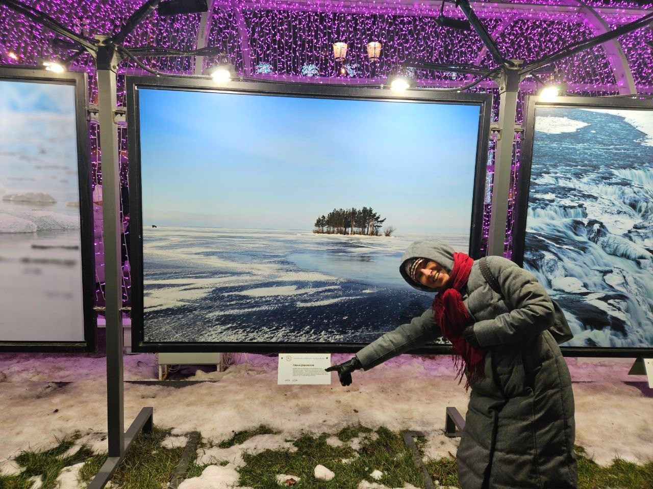 Выставочные. проекты. Визуальный художник Лиана Даренская, Москва