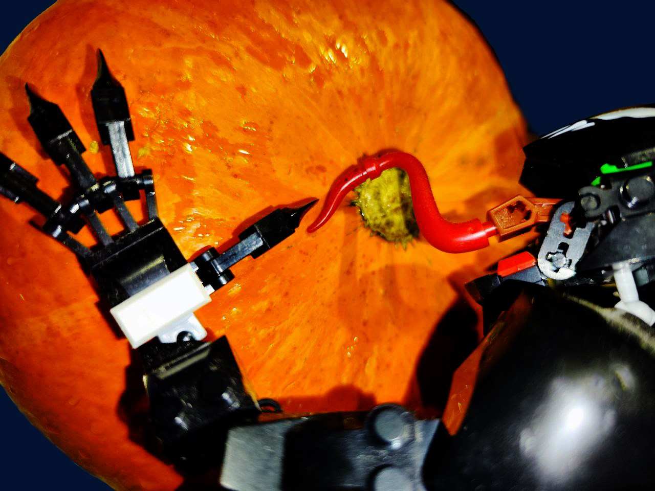 фотограф, фотография, фото проект. женщина, женская физиология, сексуальность, эмоции, секс, искусство, современное искусство, поп арт, фотопроект, фуд съемка, художественая съемка, галлерея, художник, предметная съемка, феминизм, выставка, выставка фотографии, цвет, обложка для книги, обложка для песни, обложкадля музыкального альбома, лучший фотограф России, best of photographers, gallery, photo, art, pop art, photography, women, woman, art photo, contemporary art, world of art, 照片，艺术, 中国