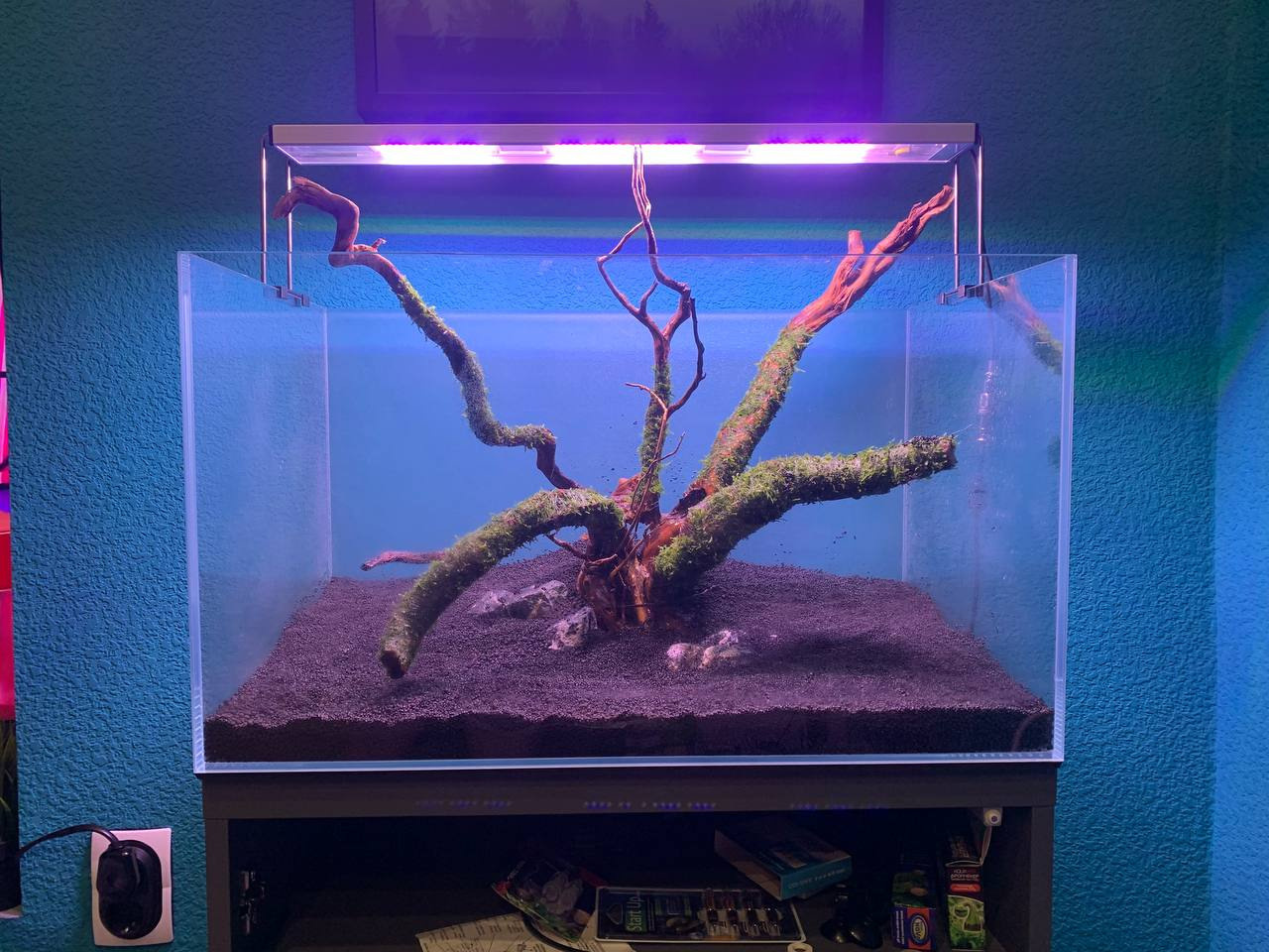 Обучаю делать красивые аквариумы. Аквариумист Максим Ерёмин. Aqua Maxim