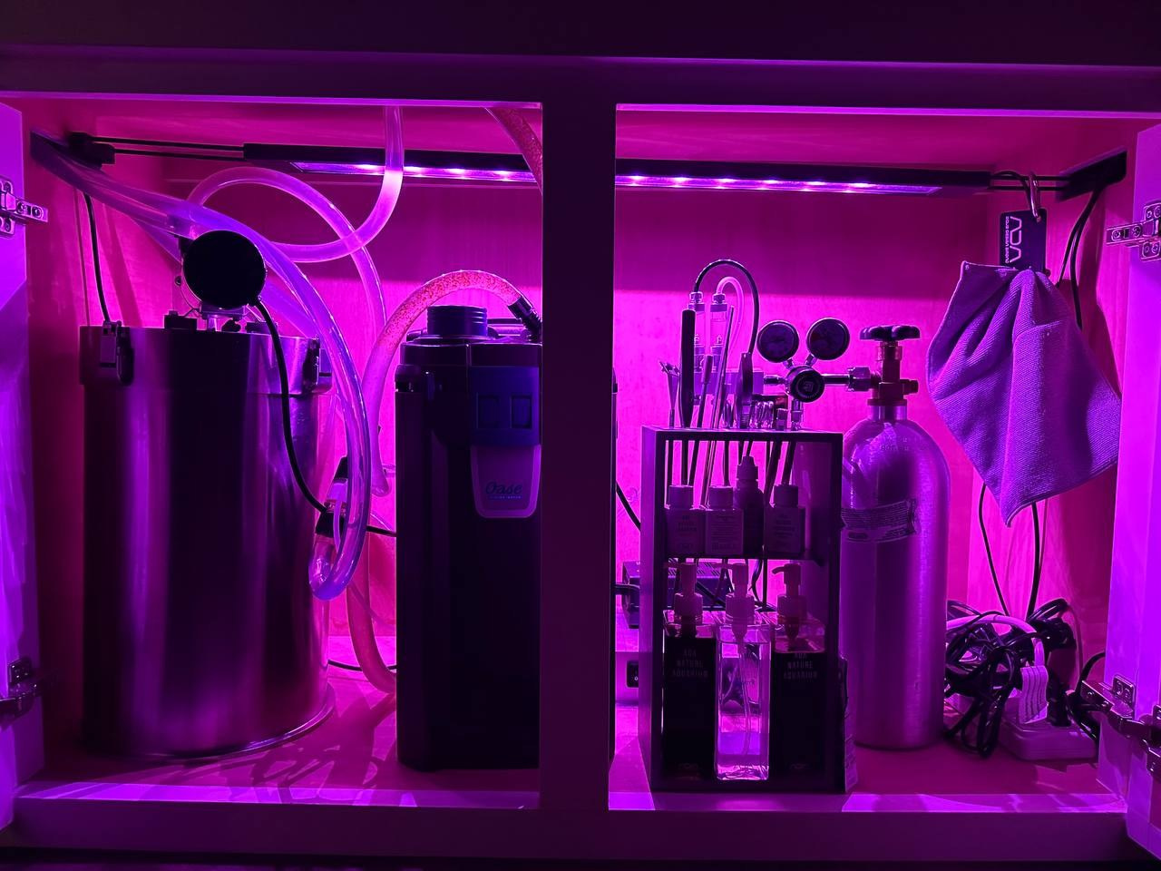 Аквариумы Дмитрия Бондаренко. Аквариумист Максим Ерёмин. Aqua Maxim