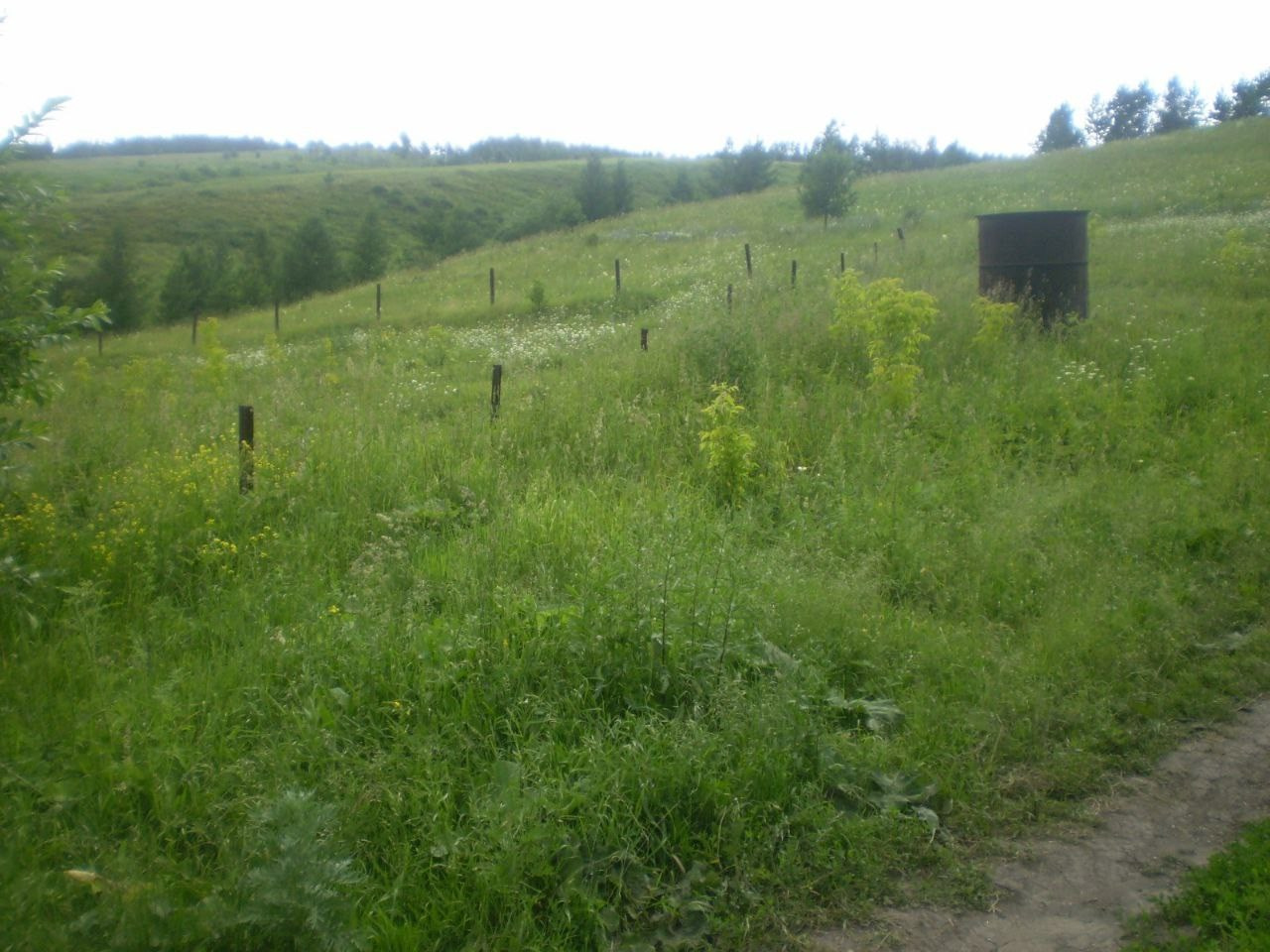 18 сот. у горнолыжки. Банк земельных участков Алтая