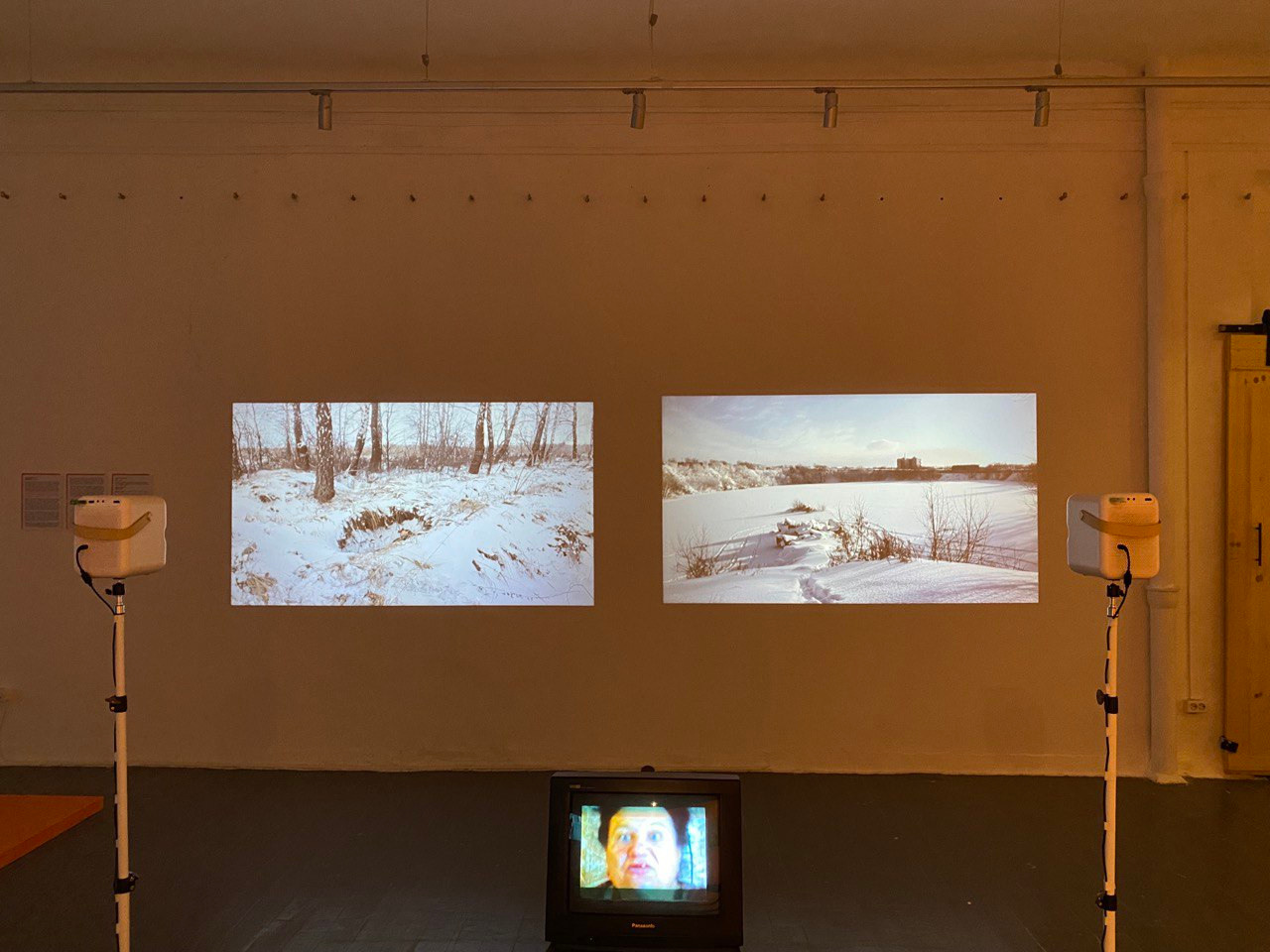 «Бакал» на выставке в Уральском филиале ГМИИ им. Пушкина