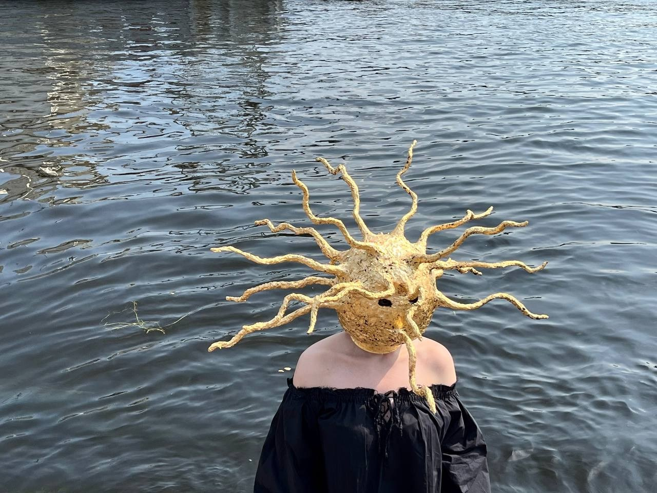 Будем как солнце. Visual artist Irina Heinz