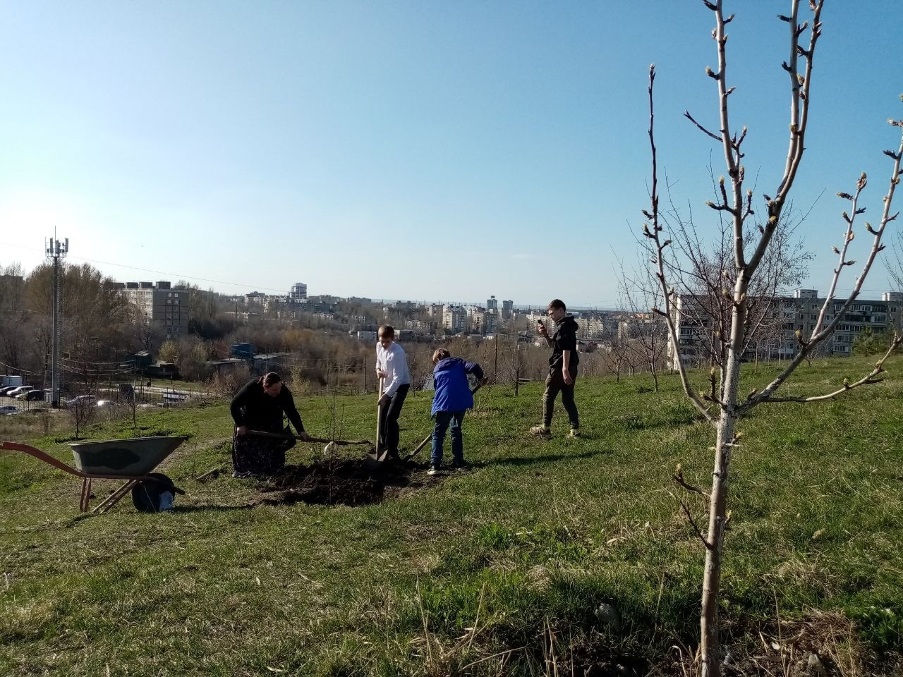 Прихожане Георгиевского храма продолжают возделывать сад на пустыре. Северное благочиние Саратовской епархии