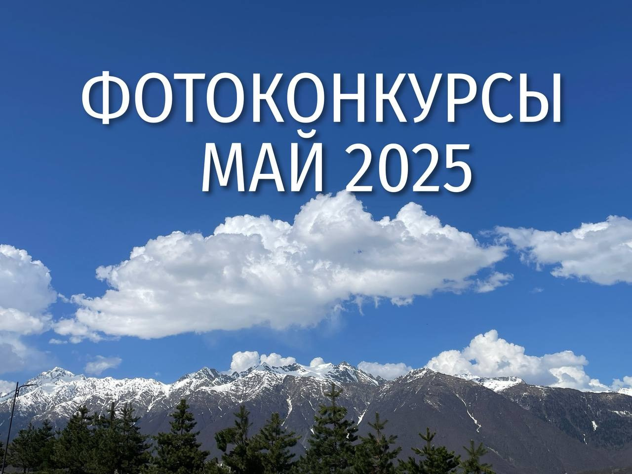 Фотоконкурсы мая 2025 года. Фотограф Михаил Мордасов, Сочи. Мероприятия, портреты, спорт, репортаж