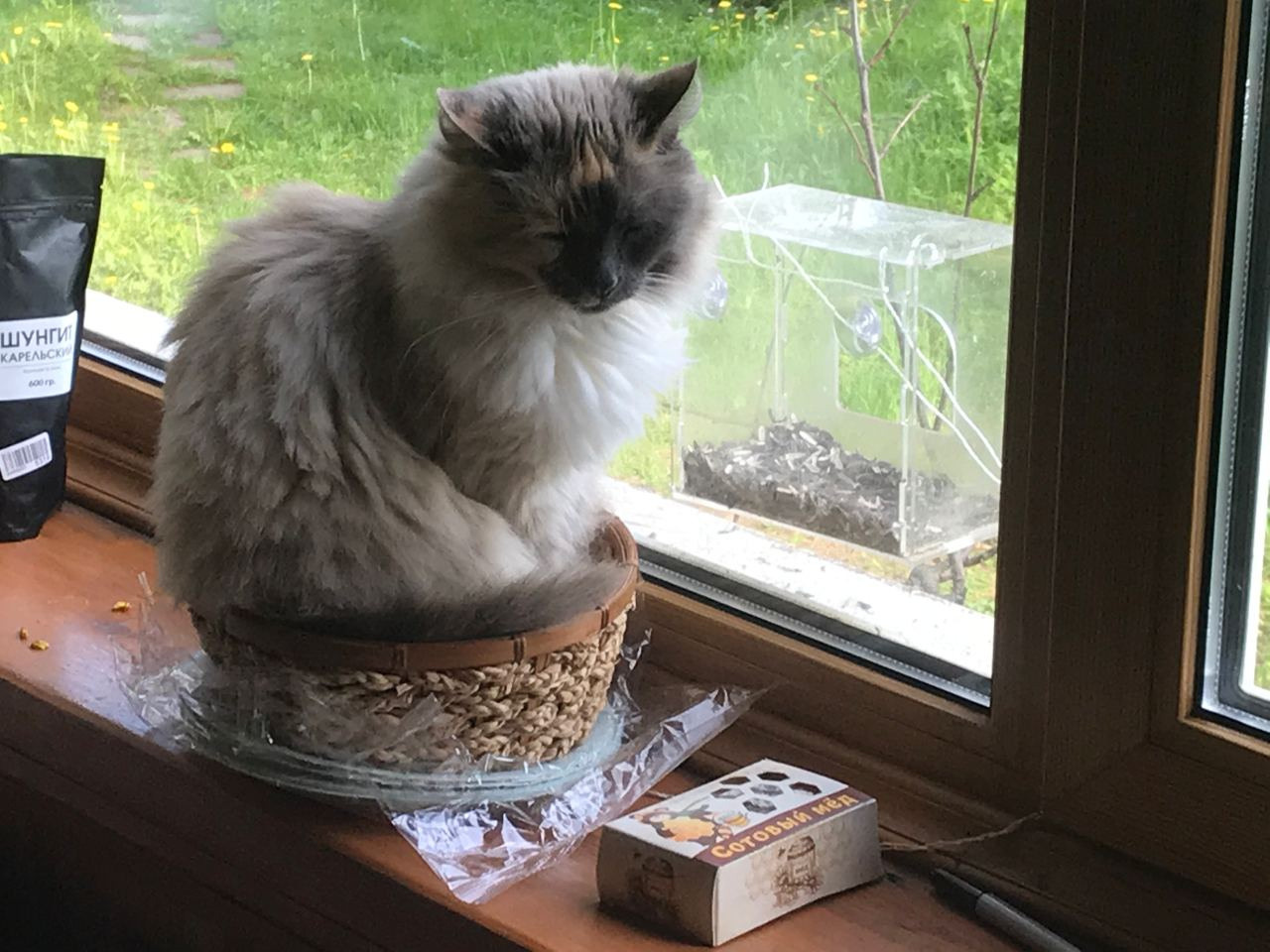 Команда экофермы Марии Гиппенрейтер. Эко отдых в Подмосковье в эко-отеле Марии Гиппенрейтер