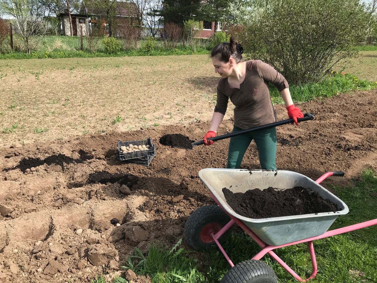Команда экофермы Марии Гиппенрейтер. Эко отдых в Подмосковье в эко-отеле Марии Гиппенрейтер