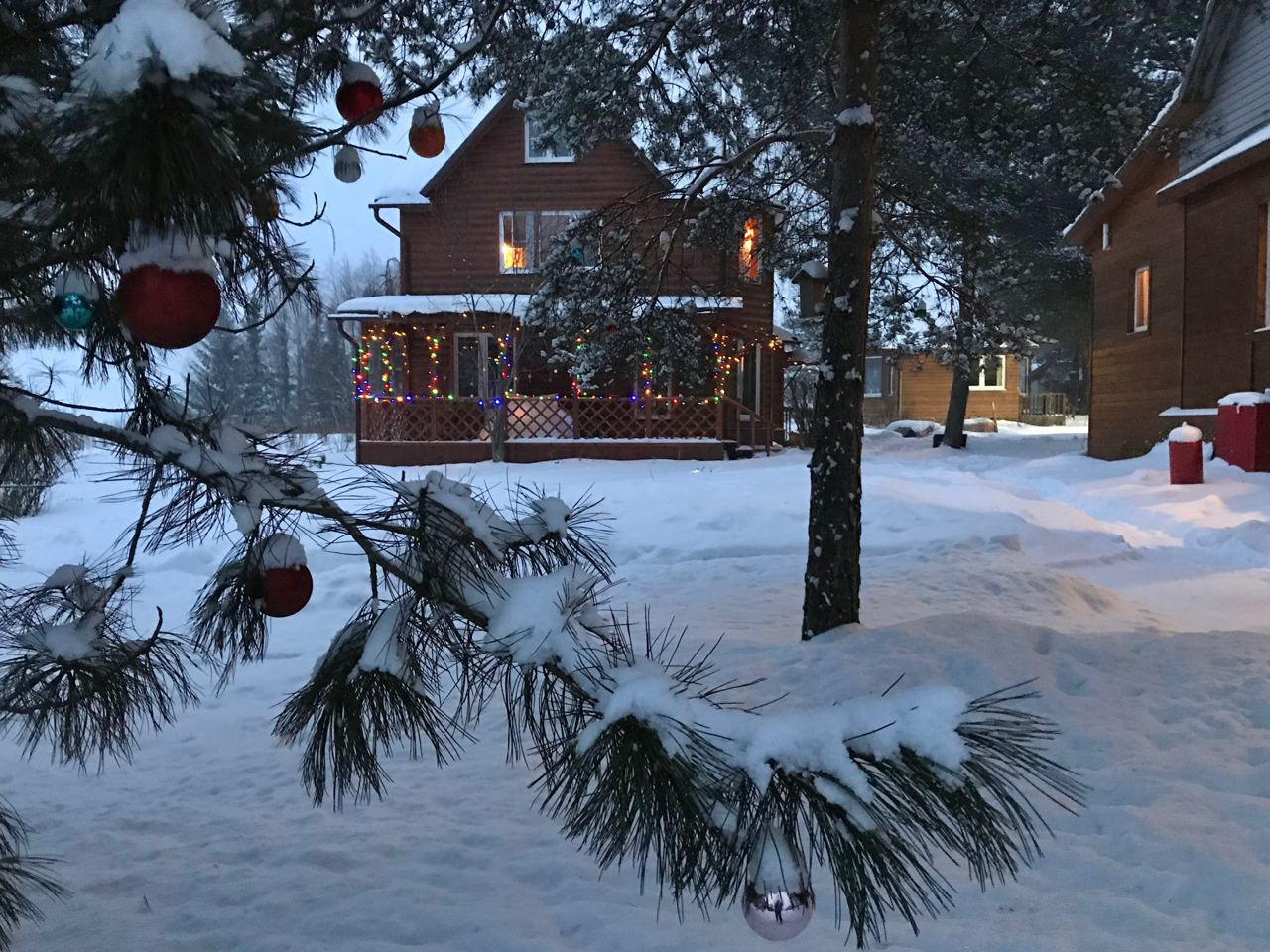 Экодома для эко отдыха в Подмосковье. Эко отель в лесу. Эко отдых в Подмосковье в эко-отеле Марии Гиппенрейтер