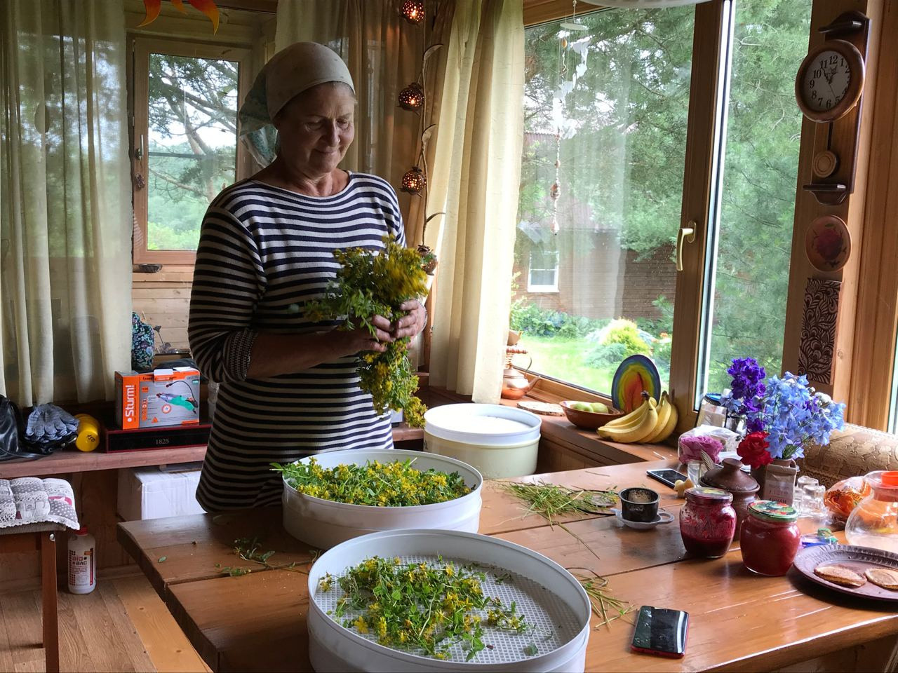 Экопродукция в Подмосковье. Эко отдых в Подмосковье в эко-отеле Марии Гиппенрейтер