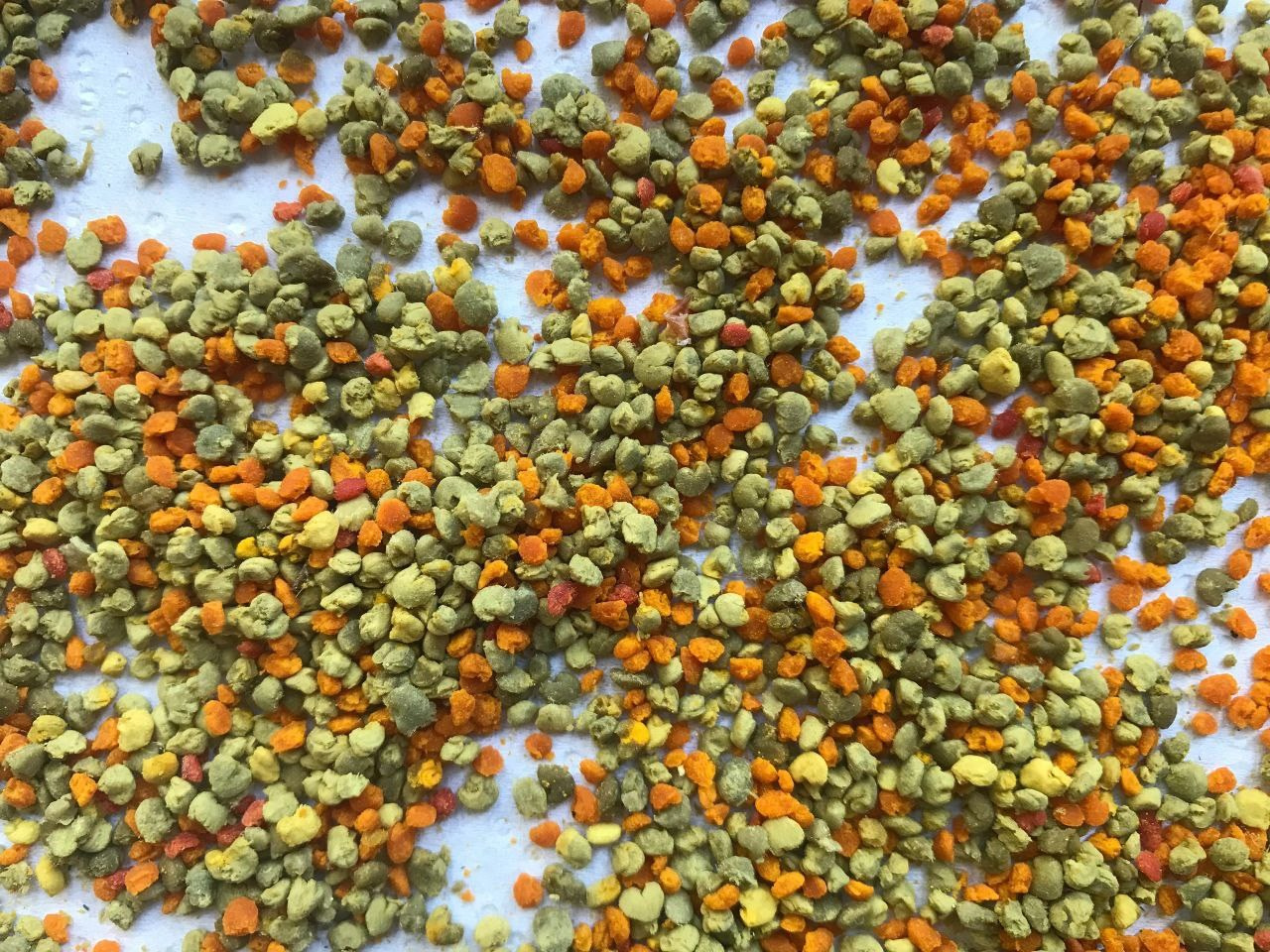 Сбор цветочной пыльцы пчелами. Эко отдых в Подмосковье в эко-отеле Марии Гиппенрейтер