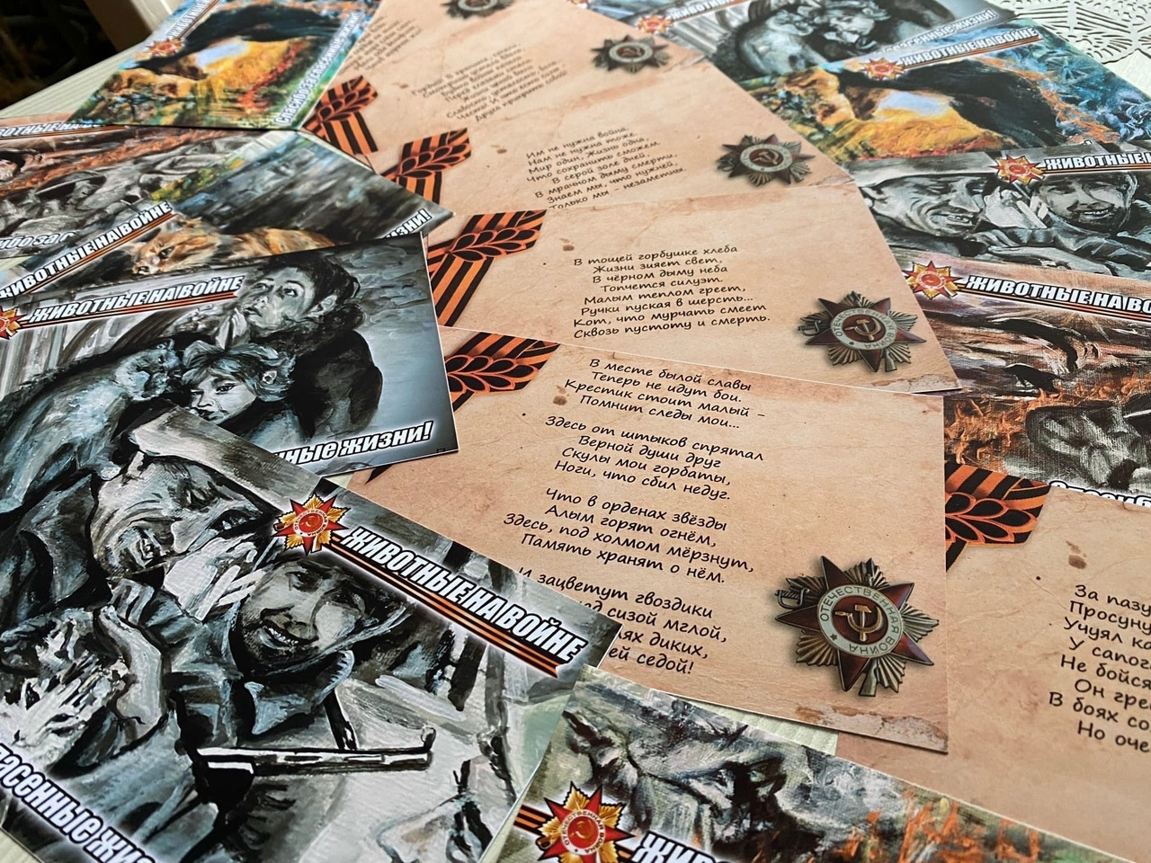 Третья выставка беспородных собак «Для дружбы не важна порода». НРОО КЦ "Собаковод"