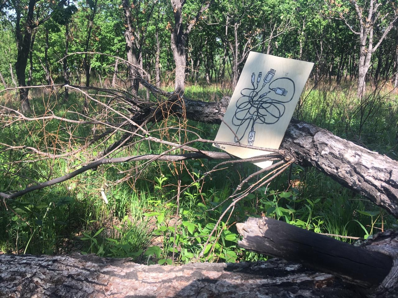 Локация № 1. Художник Рыбак Николай