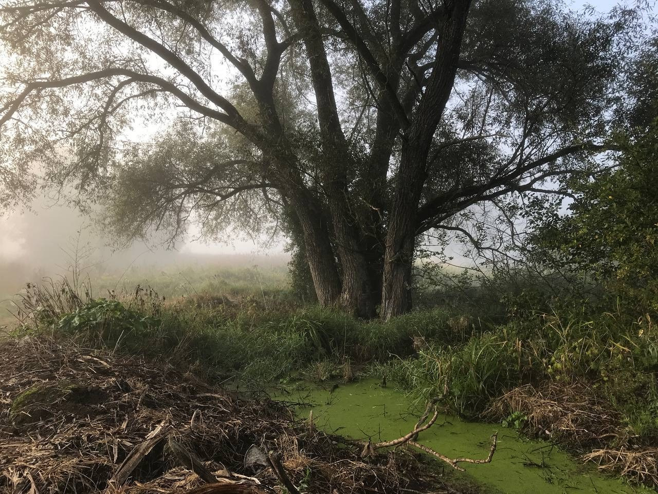 Горетово (2016-2022) — Избранные серии — Документальный фотограф Настя Сергеева