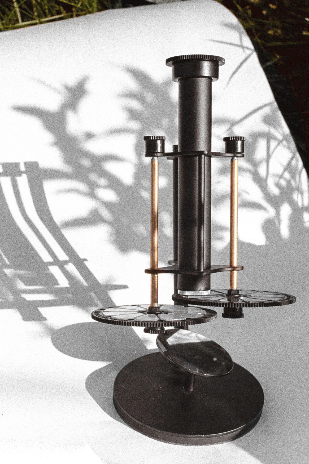 Семейный сад. Ася Бобрицкая — мультидисциплинарый художник