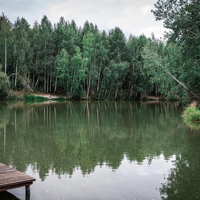 Москои — декоративные рыбы карпы кои на продажу Москва, Дмитров, Курск