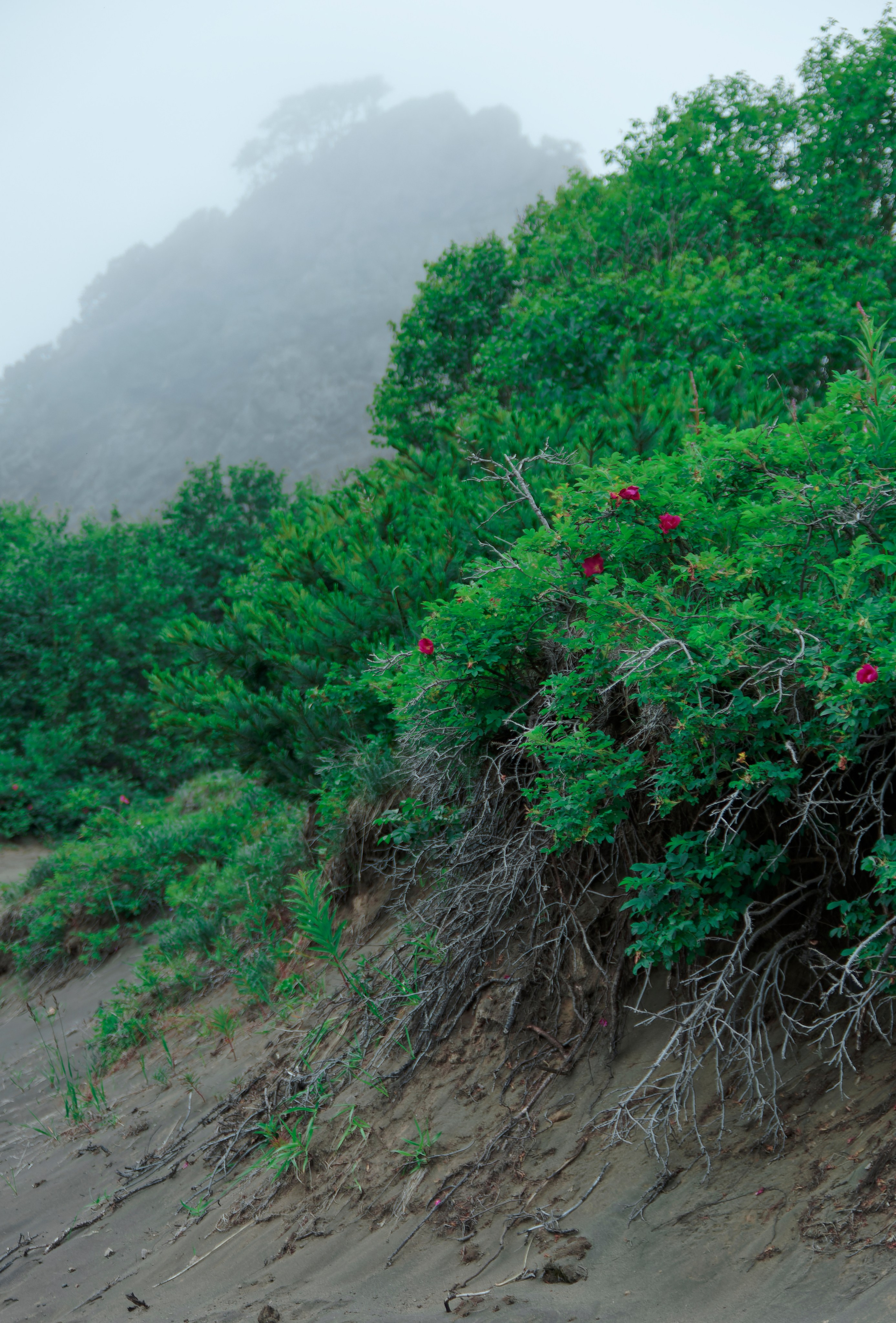 Камчатка. Фототрип. Тур?. Семоха Валерий. Фотограф