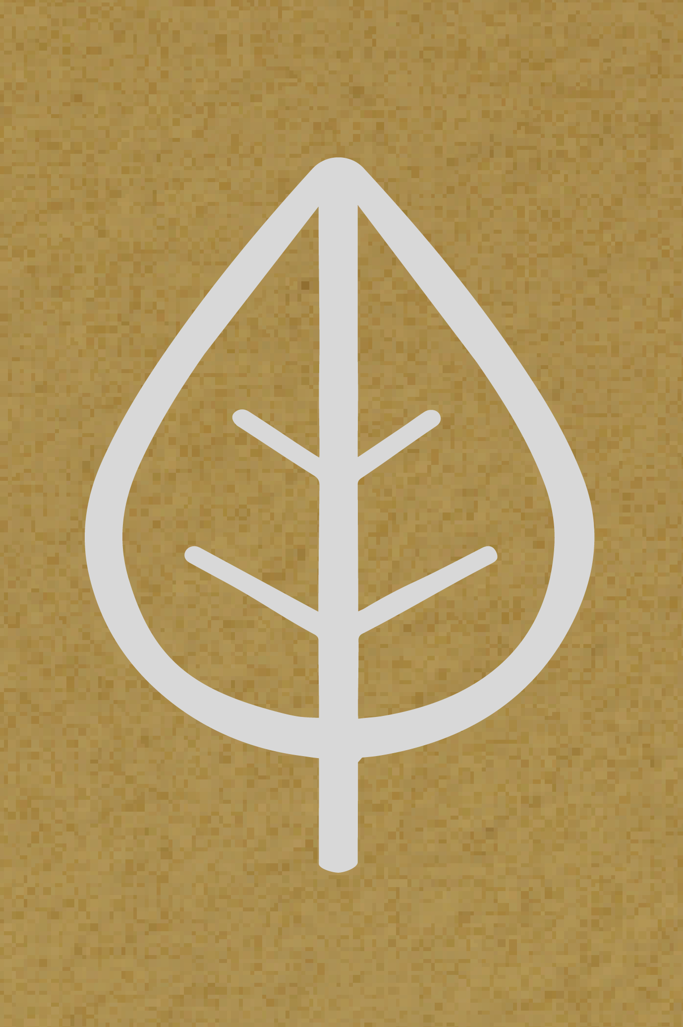 Услуги. Семейный фотограф в Анапе Светлана Тернопол