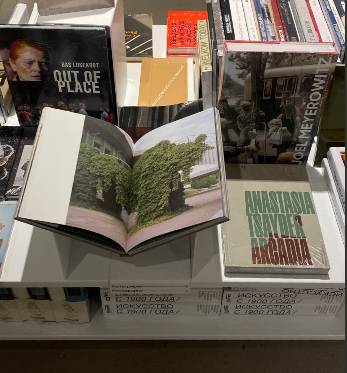 Book ARCADIA. Gardens in common. Anastasia Tsayder