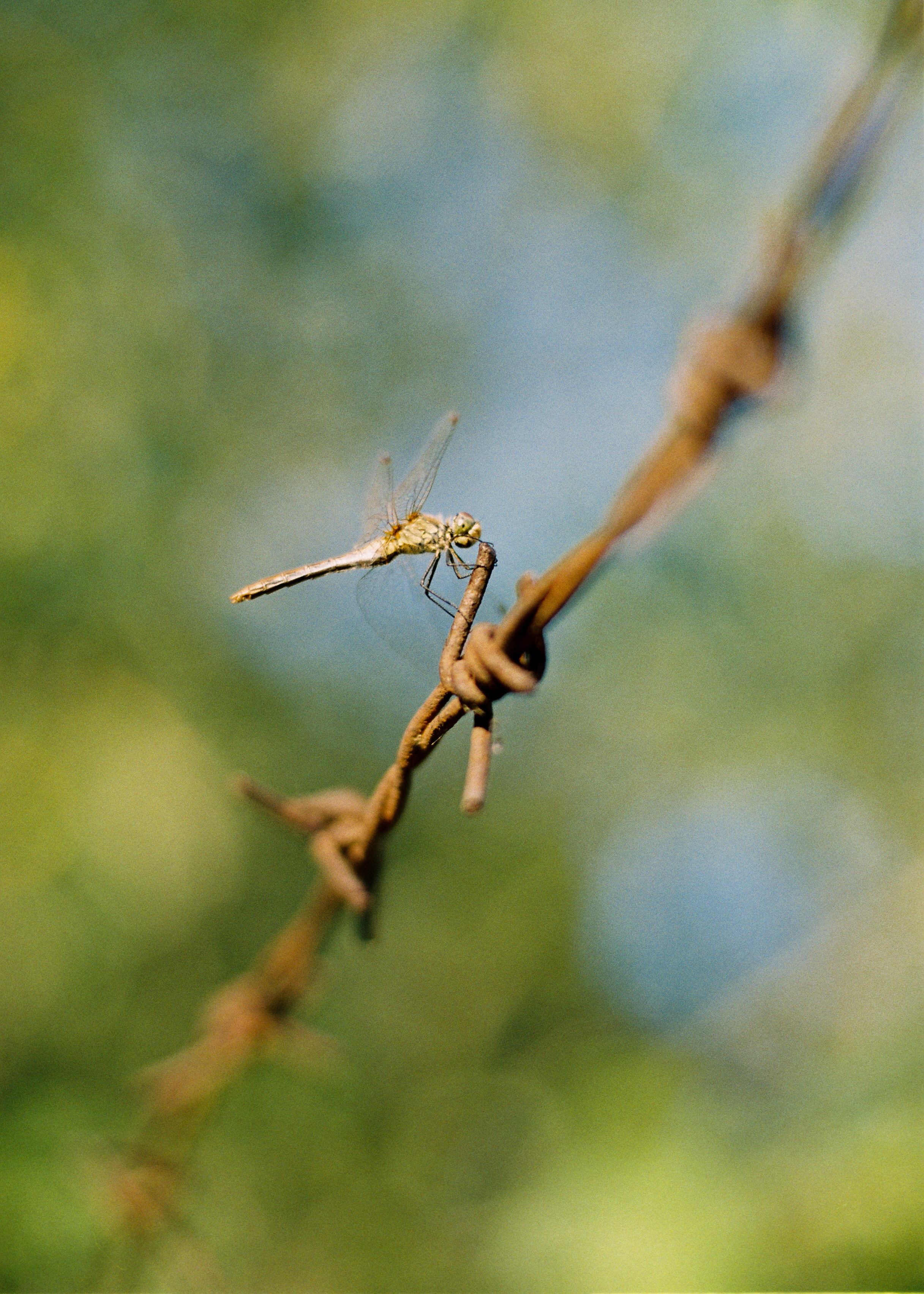 Клуб с заданиями по фотографии