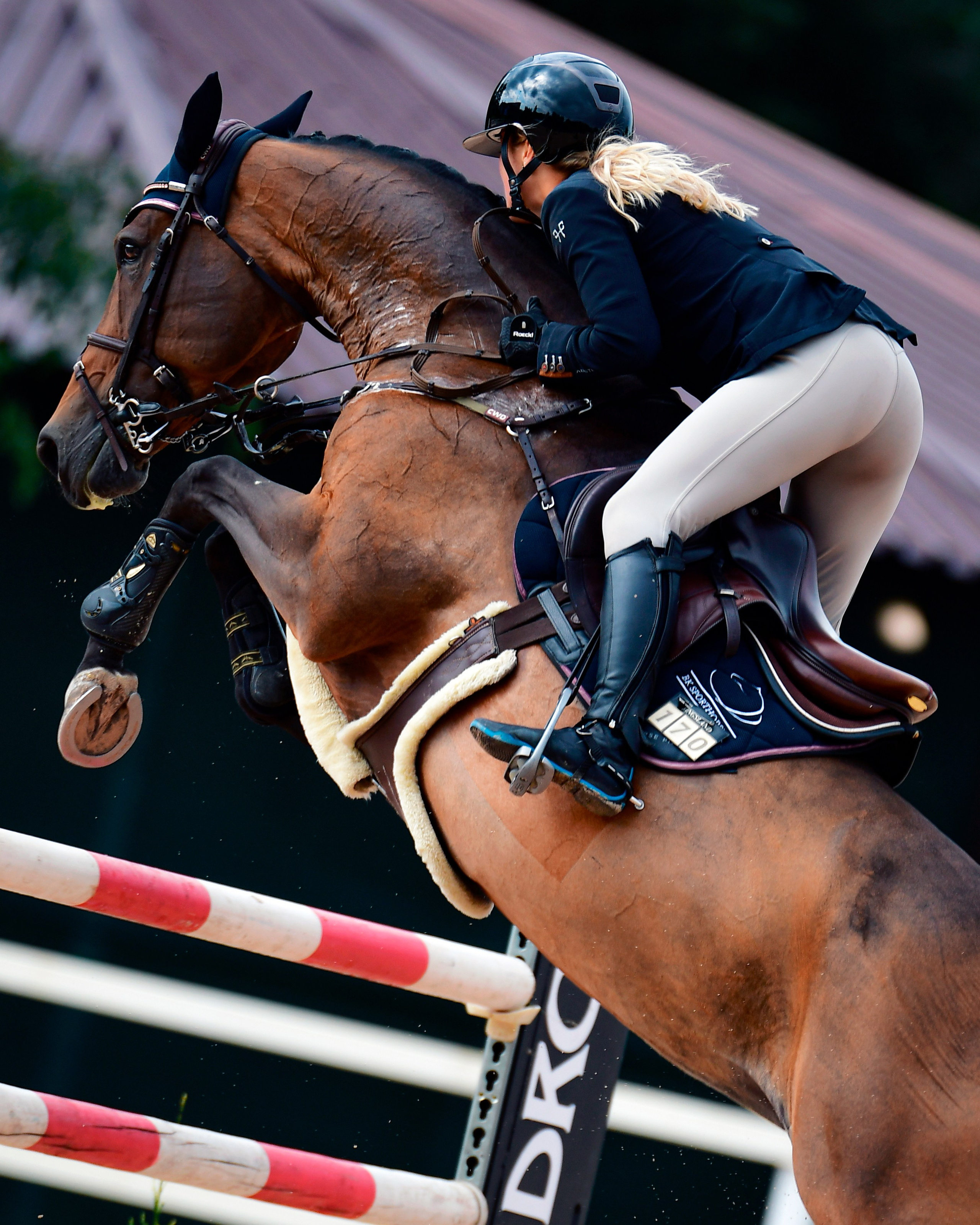 Конные соревнования. Конный фотограф Alesya Safe