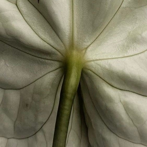 Прайс. CONINCON PRODUCTION