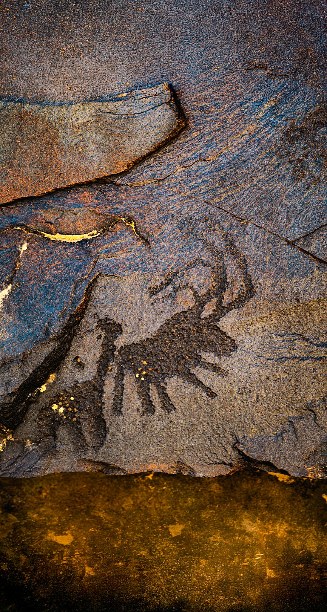 Рождение рода. Картины о красоте, культурных ценностях и традициях Казахстана