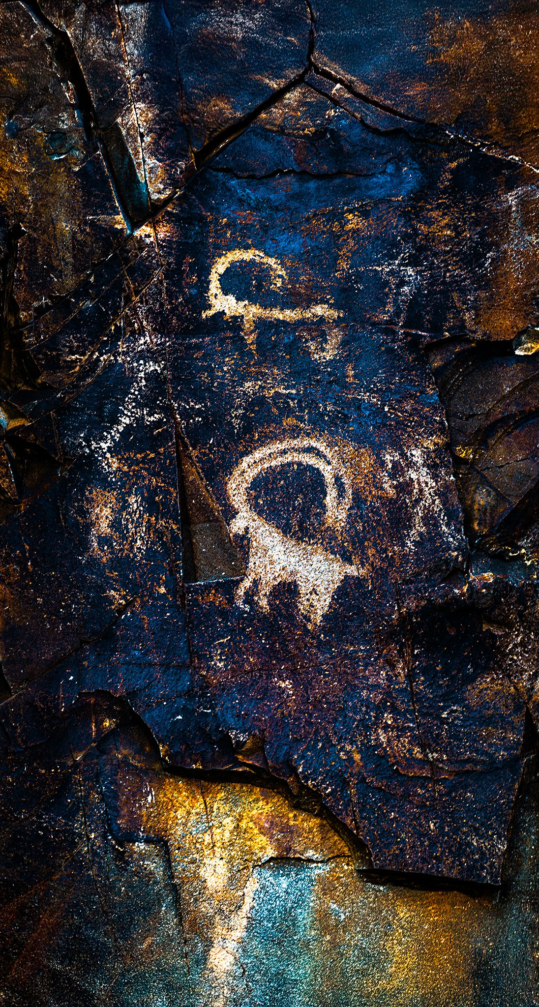 Охота. Картины о красоте, культурных ценностях и традициях Казахстана